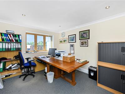 Picture 21